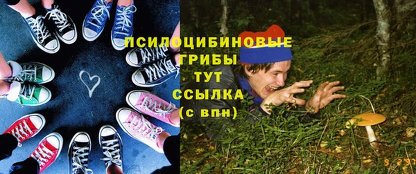 бошки Алексин