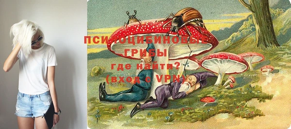 МДМА Алексеевка
