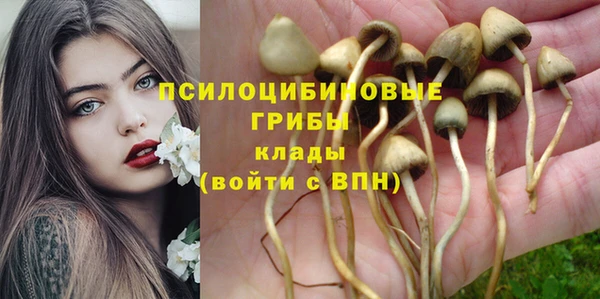 бошки Алексин