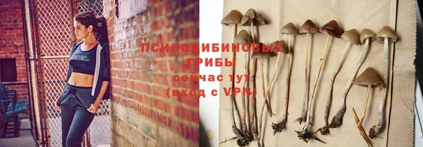бошки Алексин