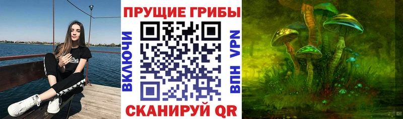 купить наркоту  Котлас  Псилоцибиновые грибы Cubensis 