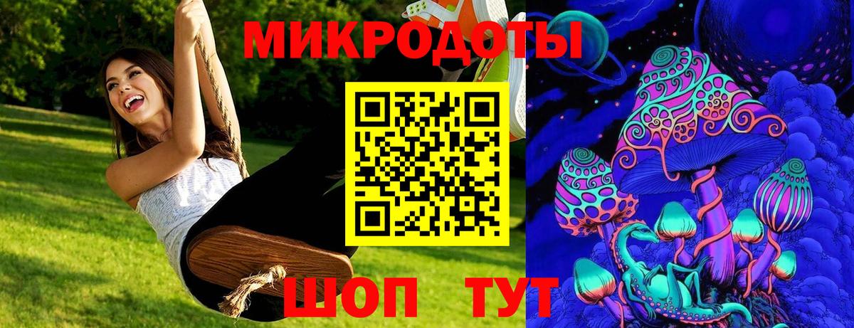 Бошки Шишки Котлас