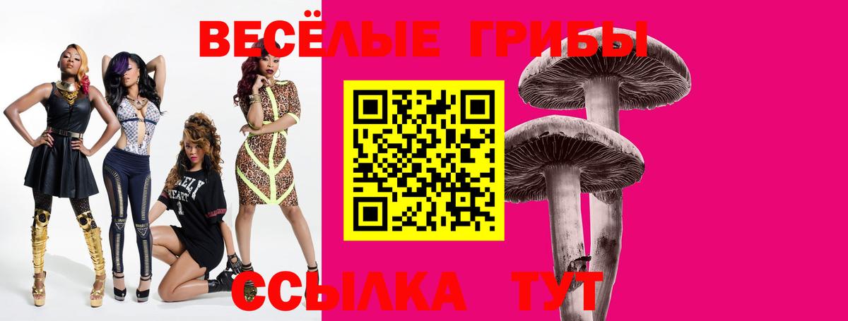 Котлас  Галлюциногенные грибы прущие грибы  Псилоцибиновые грибы MAGIC MUSHROOMS  купить наркоту  Вход с VPN 