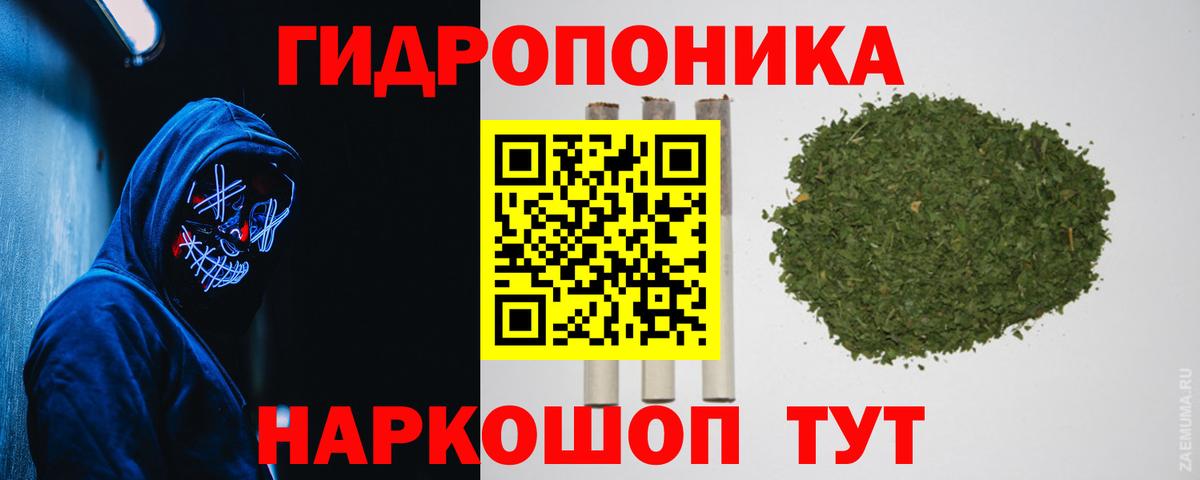 Котлас  Канабис OG Kush  Бошки Шишки конопля  Шишки марихуана MAZAR  Вход с VPN  Бошки Шишки LSD WEED 